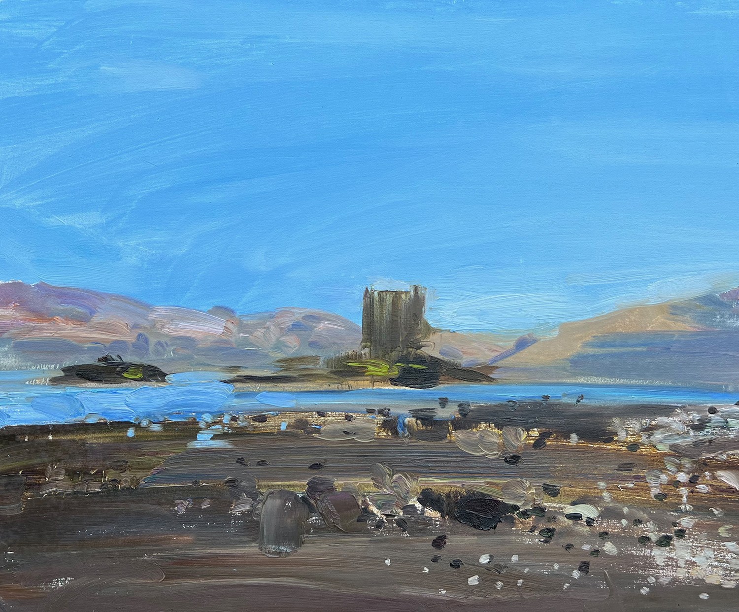 Castle Stalker by Richard Colson