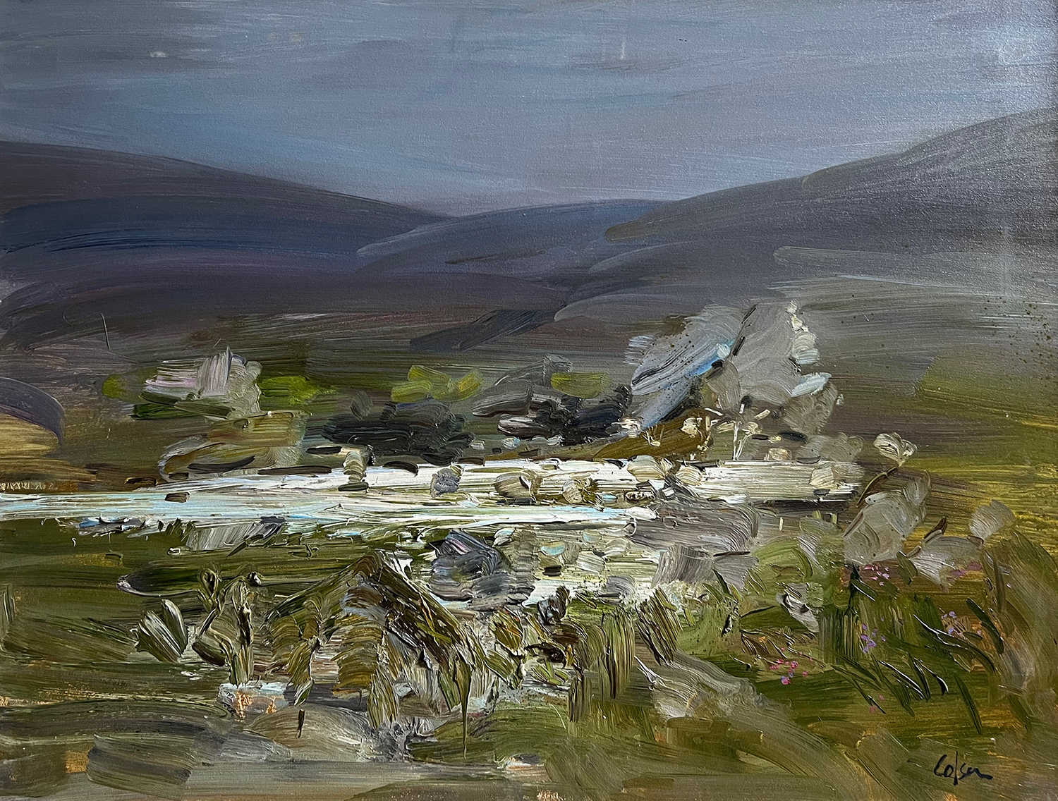 Rocky Highland Stream by Richard Colson